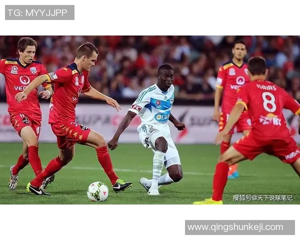 墨尔本联与波斯野猫激战在即球迷期待精彩对决与精彩表现